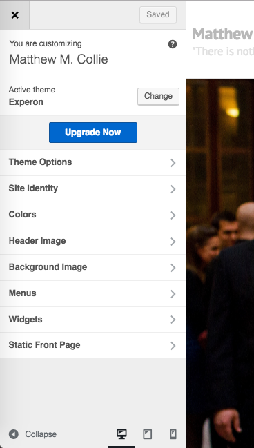 An example of a WordPress customize sidebar from the Experon theme.